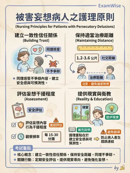 護理師 - 思覺失調症護理 - AI 圖文解析預覽