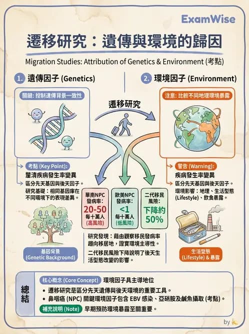 護理師 - 流行病學研究方法 - AI 圖文解析預覽