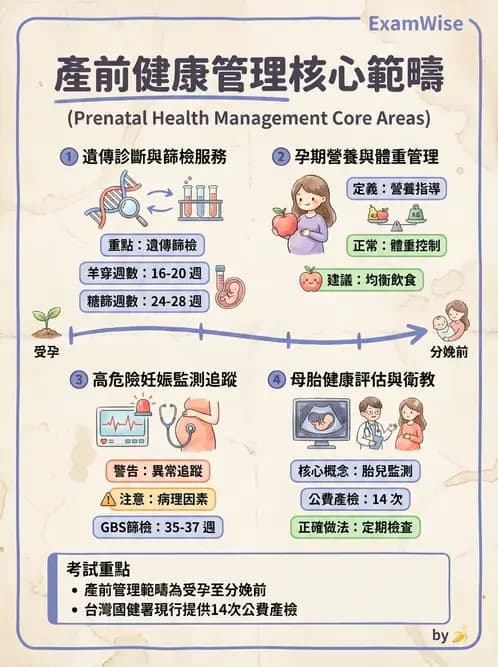 護理師 - 婦幼與青少年健康 - AI 圖文解析預覽