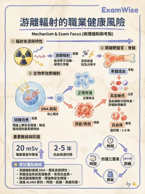 護理師 - 職業衛生護理 - AI 圖文解析預覽