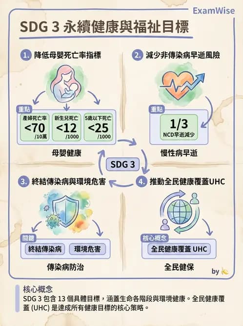 護理師 - 健康照護體系與健康政策 - AI 圖文解析預覽