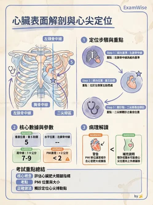 護理師 - 循環系統 - AI 圖文解析預覽