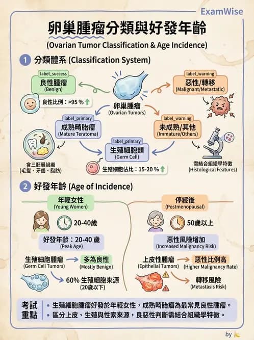 護理師 - 女性生殖系統及乳房 - AI 圖文解析預覽