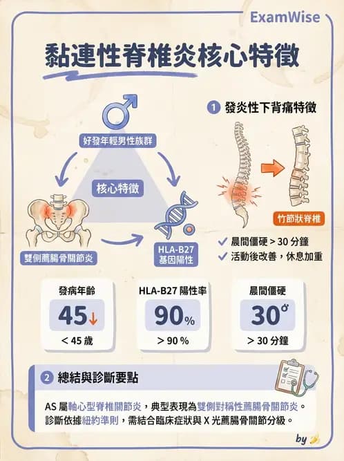 護理師 - 骨骼肌肉系統 - AI 圖文解析預覽