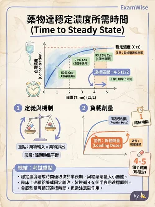 護理師 - 藥理學的一般概念 - AI 圖文解析預覽