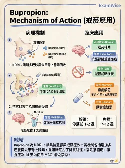 護理師 - 精神科藥物 - AI 圖文解析預覽