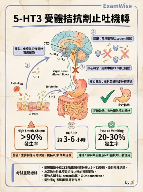 護理師 - 精神科藥物 - AI 圖文解析預覽