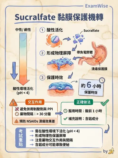 護理師 - 呼吸道及胃腸道作用藥物 - AI 圖文解析預覽