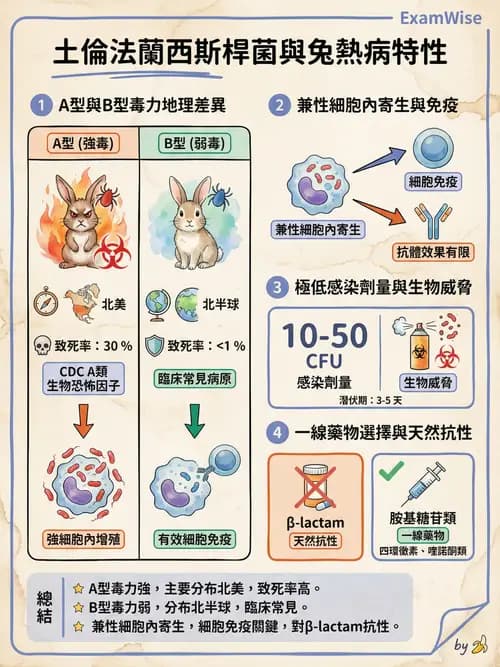 護理師 - 其他細菌 - AI 圖文解析預覽