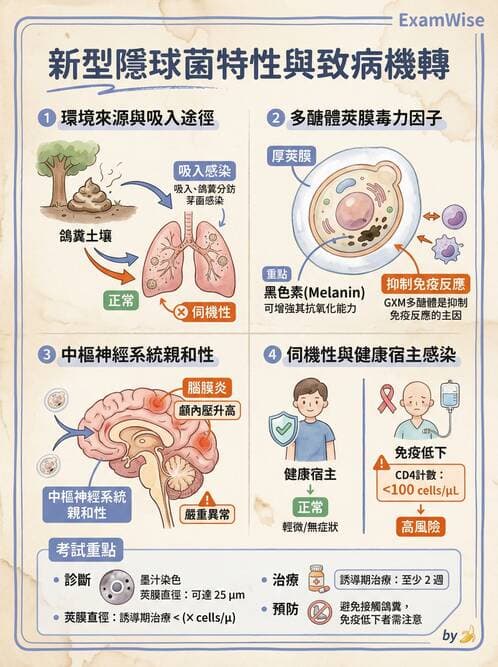 護理師 - 黴菌學概論 - AI 圖文解析預覽