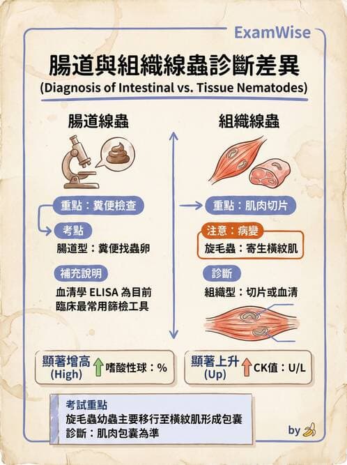 護理師 - 寄生蟲概論 - AI 圖文解析預覽