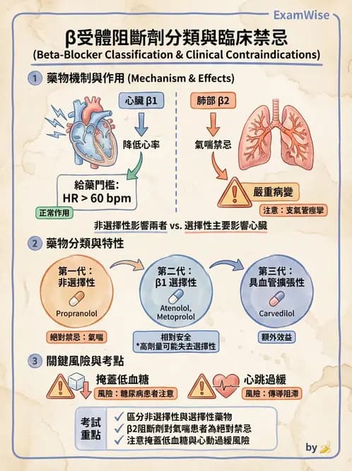 護理師 - 自主神經系統作用藥物 - AI 圖文解析預覽