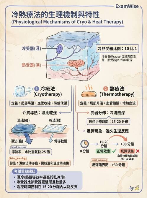 護理師 - 冷熱療法 - AI 圖文解析預覽