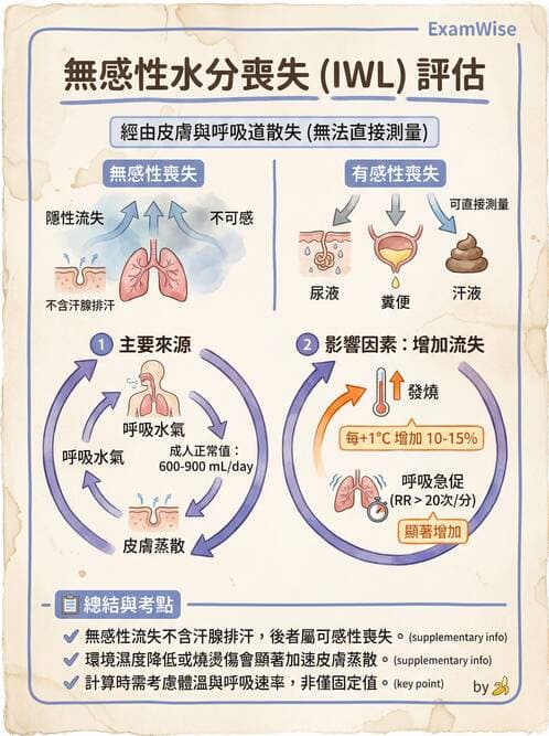 護理師 - 靜脈輸液與電解質平衡 - AI 圖文解析預覽