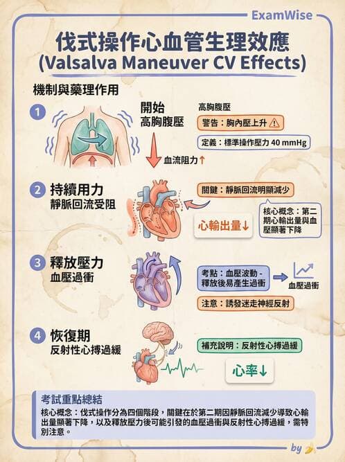 護理師 - 腸道排泄與灌腸護理 - AI 圖文解析預覽