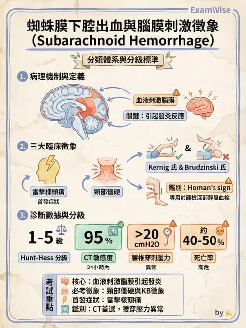 護理師 - 腦中風與腦血管疾病 - AI 圖文解析預覽