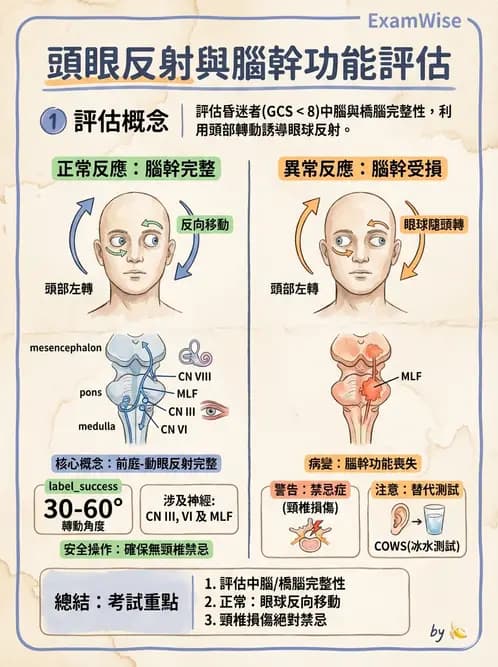 護理師 - 顱內壓升高與頭部外傷 - AI 圖文解析預覽
