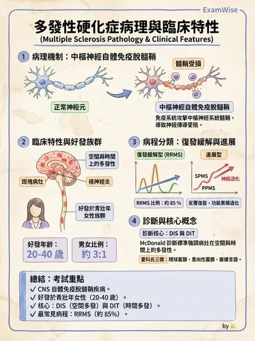 護理師 - 神經退化疾病與癲癇 - AI 圖文解析預覽