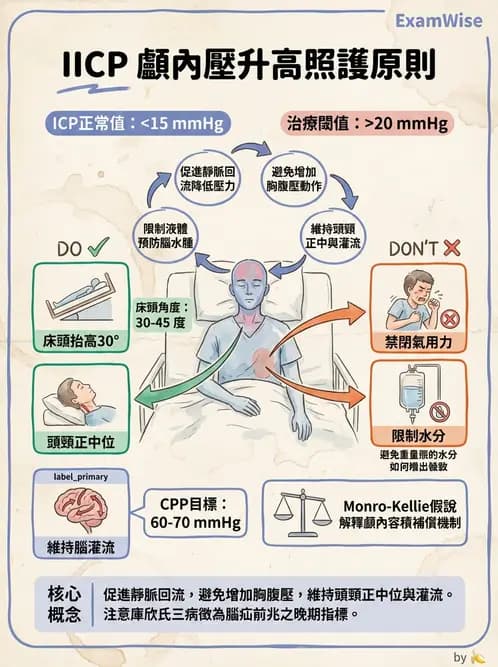 護理師 - 顱內壓升高與頭部外傷 - AI 圖文解析預覽