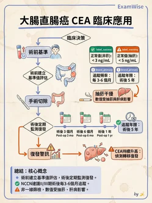 護理師 - 消化系統癌症護理 - AI 圖文解析預覽