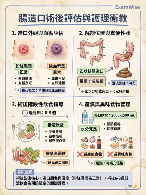 護理師 - 腸道疾病與手術護理 - AI 圖文解析預覽