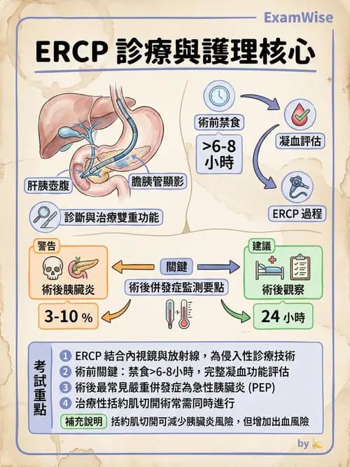 護理師 - 肝膽胰疾病 - AI 圖文解析預覽