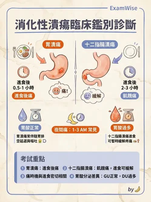 護理師 - 上消化道疾病 - AI 圖文解析預覽