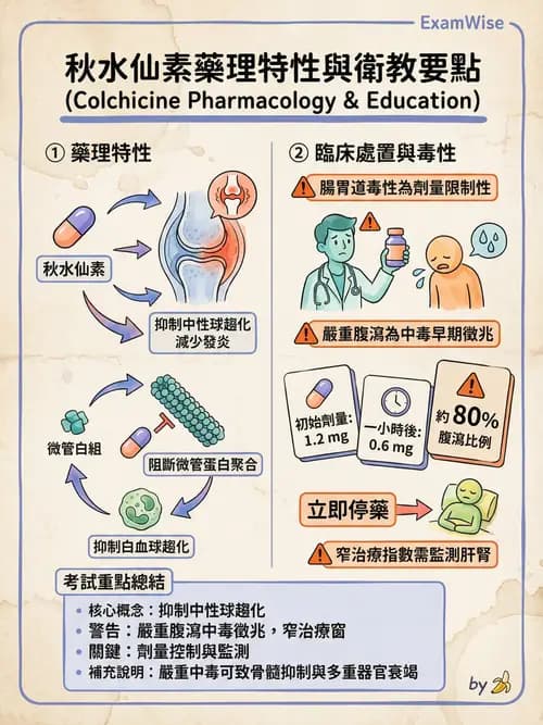 護理師 - 關節疾病與骨科手術 - AI 圖文解析預覽