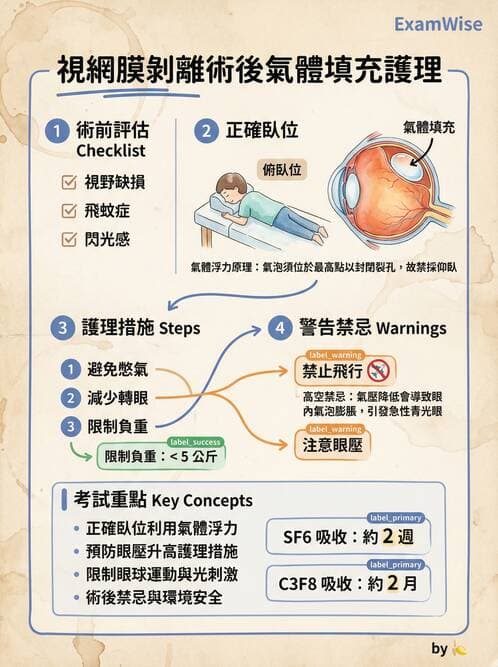 護理師 - 眼科疾病 - AI 圖文解析預覽