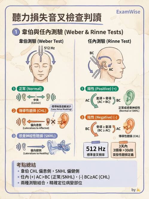 護理師 - 耳鼻喉疾病 - AI 圖文解析預覽