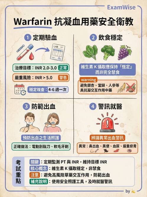 護理師 - 高血壓與周邊血管疾病 - AI 圖文解析預覽