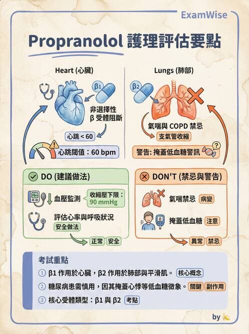 護理師 - 高血壓與周邊血管疾病 - AI 圖文解析預覽