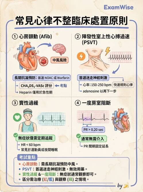 護理師 - 心臟衰竭與心律不整 - AI 圖文解析預覽