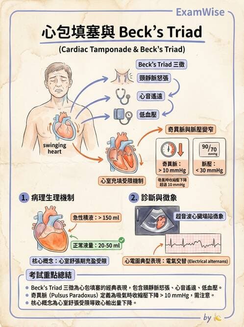 護理師 - 心臟瓣膜病與發炎性心臟病 - AI 圖文解析預覽