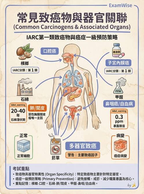 護理師 - 腫瘤概論與診斷 - AI 圖文解析預覽