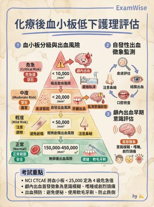 護理師 - 化療護理 - AI 圖文解析預覽