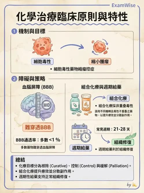護理師 - 化療護理 - AI 圖文解析預覽