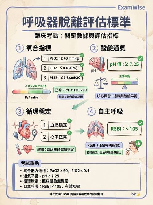護理師 - 呼吸衰竭與胸腔護理 - AI 圖文解析預覽