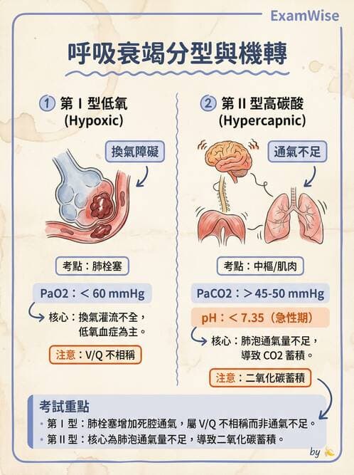 護理師 - 呼吸衰竭與胸腔護理 - AI 圖文解析預覽