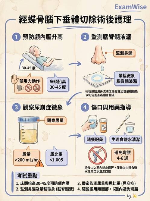 護理師 - 腎上腺與腦下垂體疾病 - AI 圖文解析預覽
