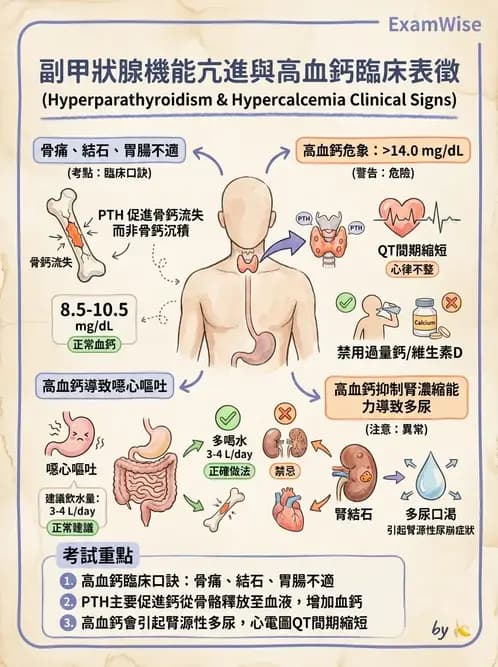 護理師 - 甲狀腺與副甲狀腺疾病 - AI 圖文解析預覽