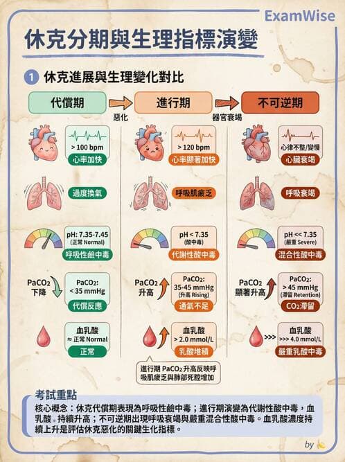 護理師 - 休克與敗血症護理 - AI 圖文解析預覽
