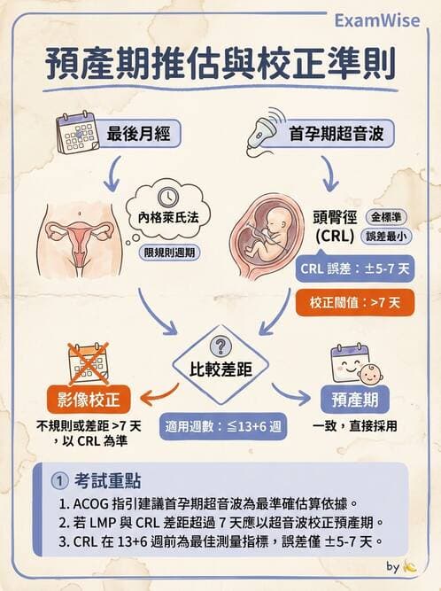 護理師 - 孕期營養心理與衛生政策 - AI 圖文解析預覽