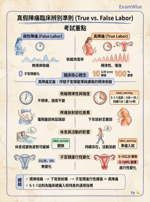 護理師 - 分娩過程與產科急症 - AI 圖文解析預覽