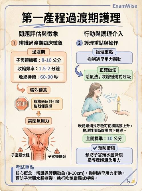 護理師 - 分娩過程與產科急症 - AI 圖文解析預覽