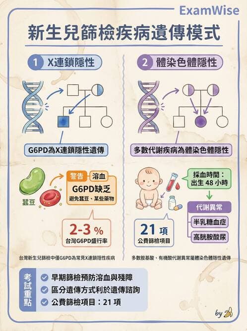 護理師 - 新生兒日常照護與篩檢 - AI 圖文解析預覽