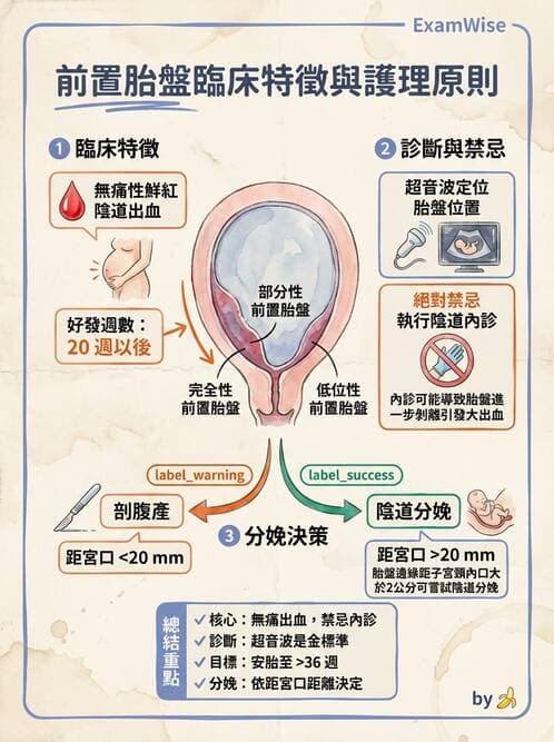 護理師 - 胎兒發育與監測評估 - AI 圖文解析預覽