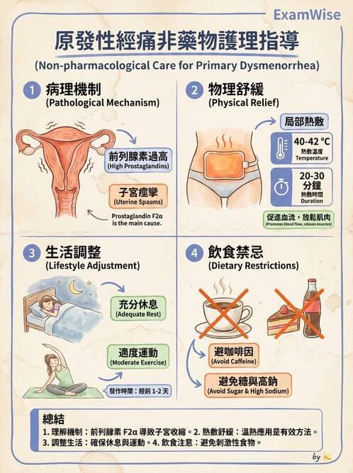 護理師 - 不孕症月經與更年期 - AI 圖文解析預覽