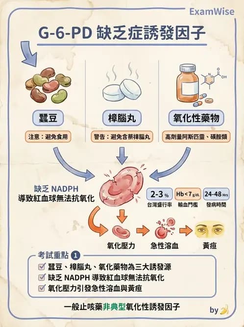 護理師 - 兒童血液與腫瘤疾病 - AI 圖文解析預覽