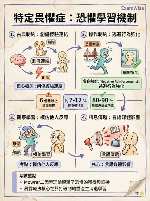 護理師 - 焦慮症與壓力相關障礙 - AI 圖文解析預覽